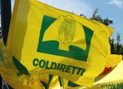 Coldiretti flags