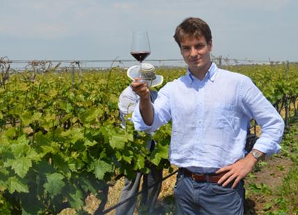Conti Zecca tra i 100 vini più amati (e venduti) d’Italia