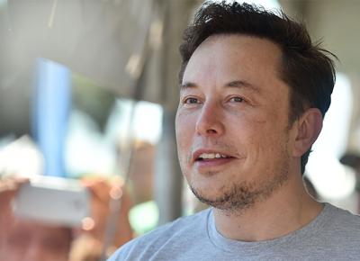 Elon Musk ape