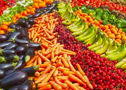 Frutta, biodiversità a rischio: in Italia perse 3 varietà di frutta su 4