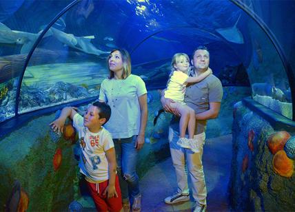 Gardaland SEA LIFE Aquarium festeggia i suoi primi 10 anni