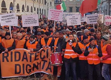 Gilet arancioni a Roma la protesta dell'Agricoltura pugliese