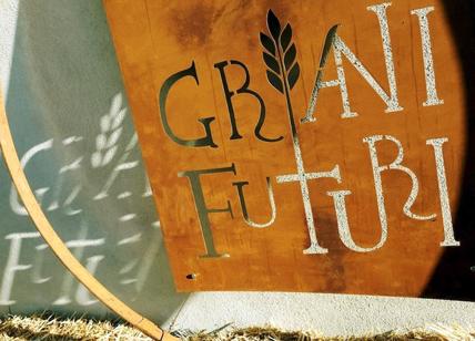 'Grani Futuri' l'antica tradizione del pane: dal Gargano al Tavoliere