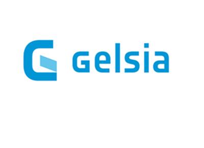 Gruppo gelsia logo ape