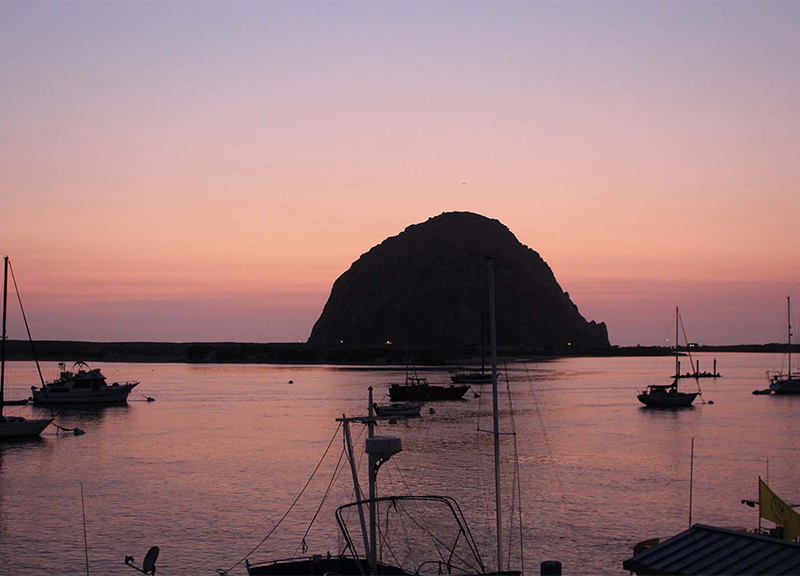 Il simbolo di Morro Bay è il promontorio Morro Rock, alto 176 metri, in cui nidificano i falchi pellegrini Il simbolo di Morro Bay è il promontorio Morro Rock, alto 176 metri, in cui nidificano i falchi pellegrini