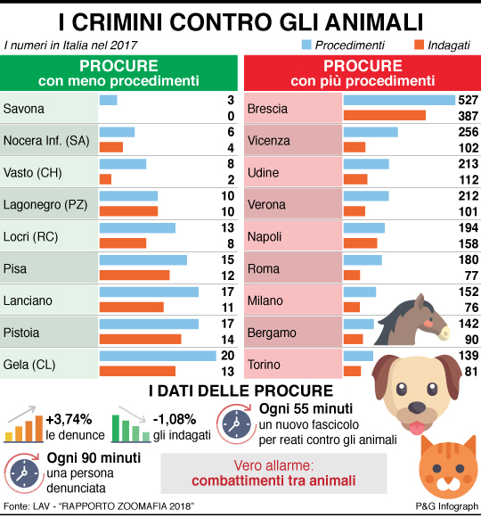 infografica crimini contro animali