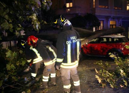 Maltempo: forte temporale a Milano: alberi caduti, divelto un tetto