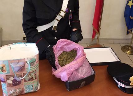 Droga, con 1kg di marijuana alla fermata del bus. “È un regalo”, arrestato