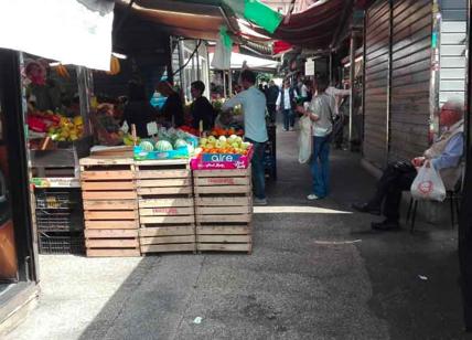 Coronavirus, Onu: "Vietare i mercati di fauna selvatica"