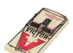 mousetrap mousetrap