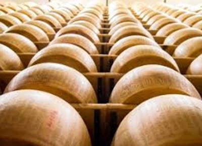 PARMIGIANO APE