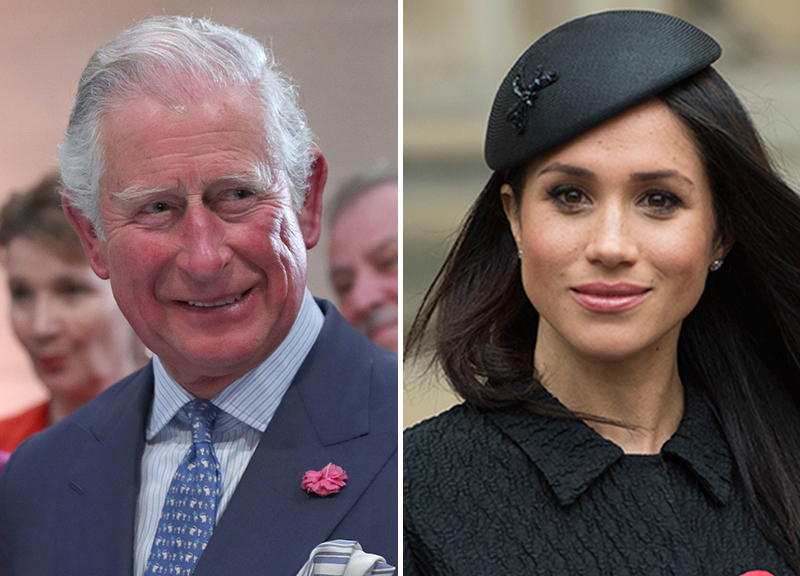 Principe carlo meghan markle ape