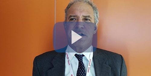 Rapporto Export Sace l'ad Decio video