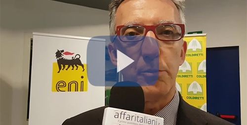 ricci video