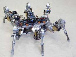 robot bioispirati
