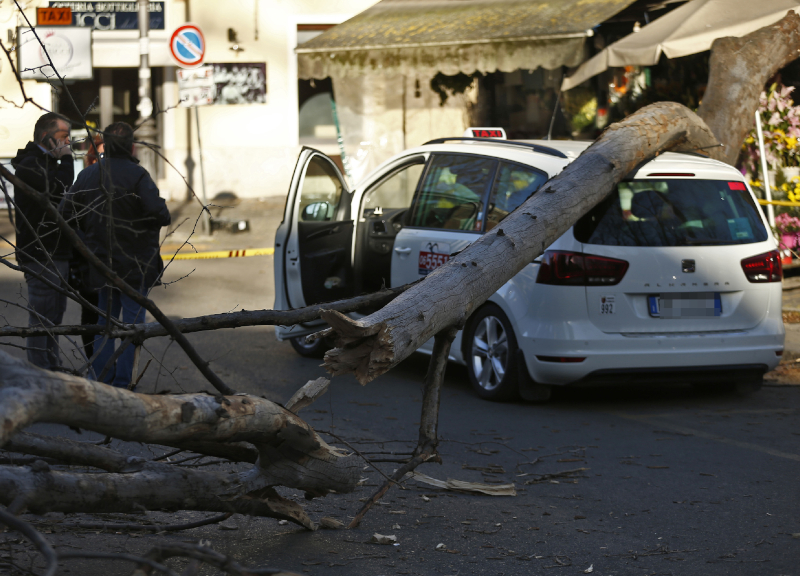 Roma alberi caduti 5