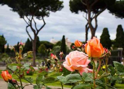 Romani innamorati del roseto, boom di visite: resta aperto anche nel weekend