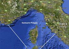SantuarioPelagos H161116185649 SantuarioPelagos H161116185649