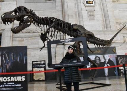 Stan, il Tirannosauro più grande del mondo in Stazione Centrale