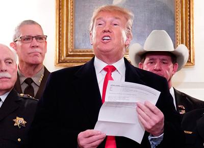 trump ape