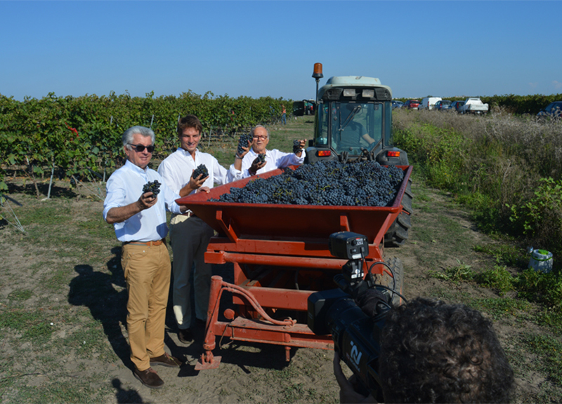 Un tour nel Salento wcontizecca vendemmia2018