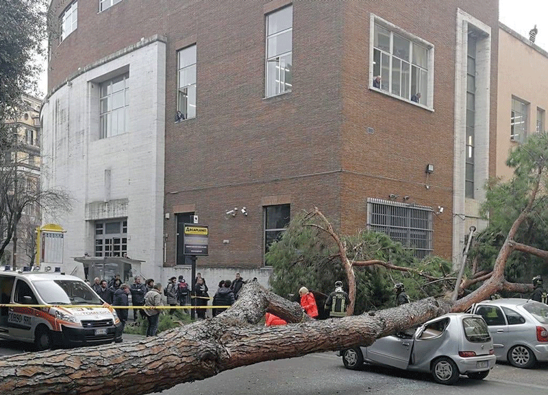Crolla albero in viale Mazzini: 2 feriti gravi. Danneggiate alcune auto