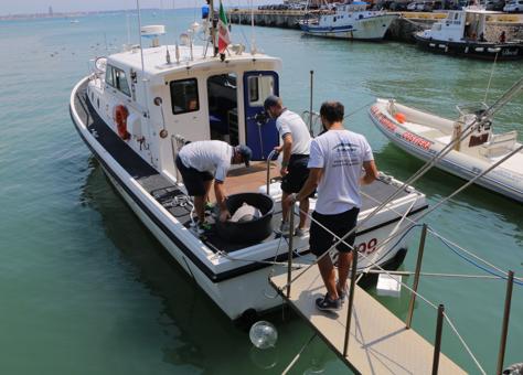 Zoomarine tartarughe marine Anzio