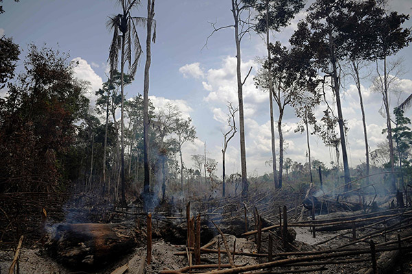 Coronavirus, Amazzonia: gli incendi avvelenano l'aria