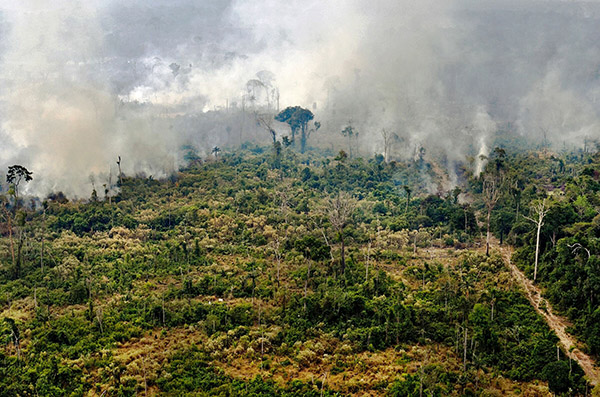 Amazzonia, salviamola anche da casa.L’appello di road to green 2020. Ecco come