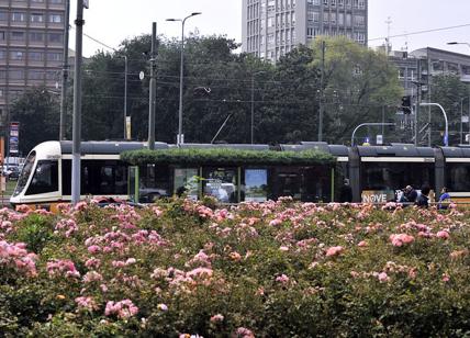 Recovery Plan, alle città green servono 11 miliardi per metro, ferrovie e bus