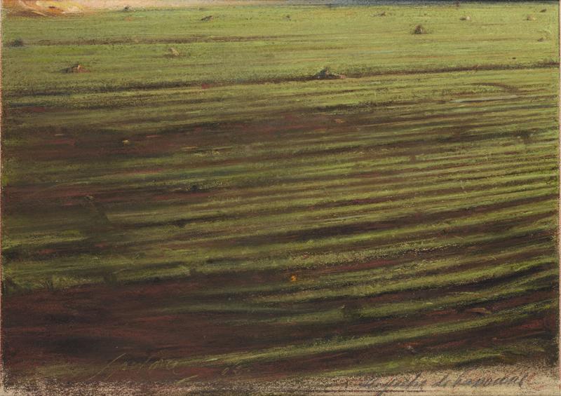 Le pietre sui campi di Passo Cane Le pietre sui campi di Passo Cane