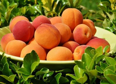 apricots 1522680 640