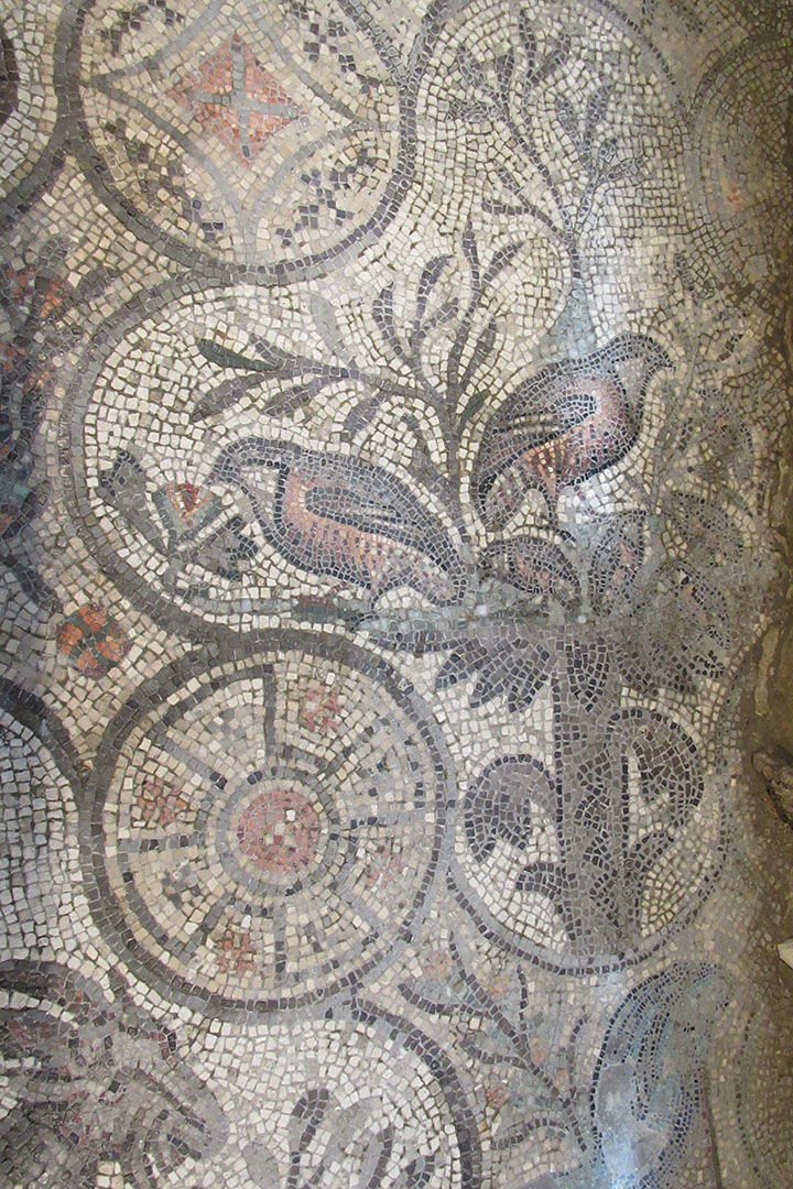 Aquileia Mosaici Aquileia Mosaici