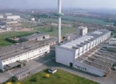 bayer