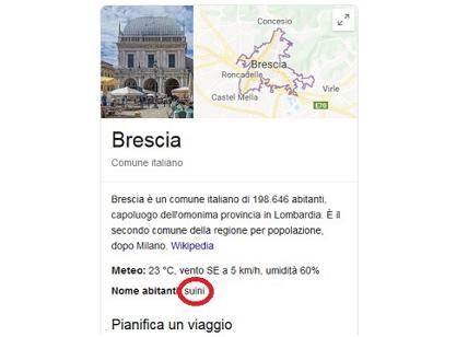 Brescia su Google, gli abitanti diventano "suini". FOTO