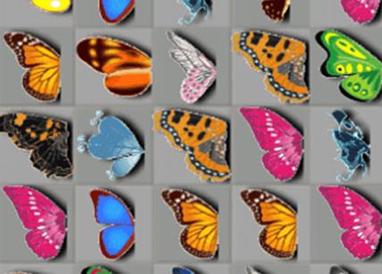 Butterfly Kyodai