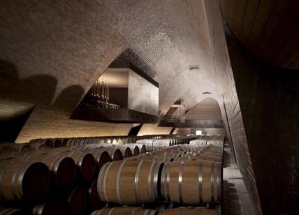 Antinori Art Project, il nuovo progetto di Sam Falls per la cantina Antinori