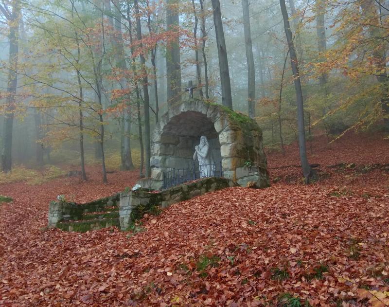 Carpathian Forest