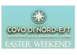 covo logo covo logo