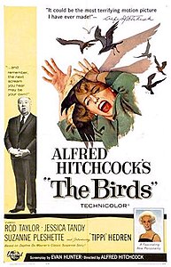 Evan The Birds original poster