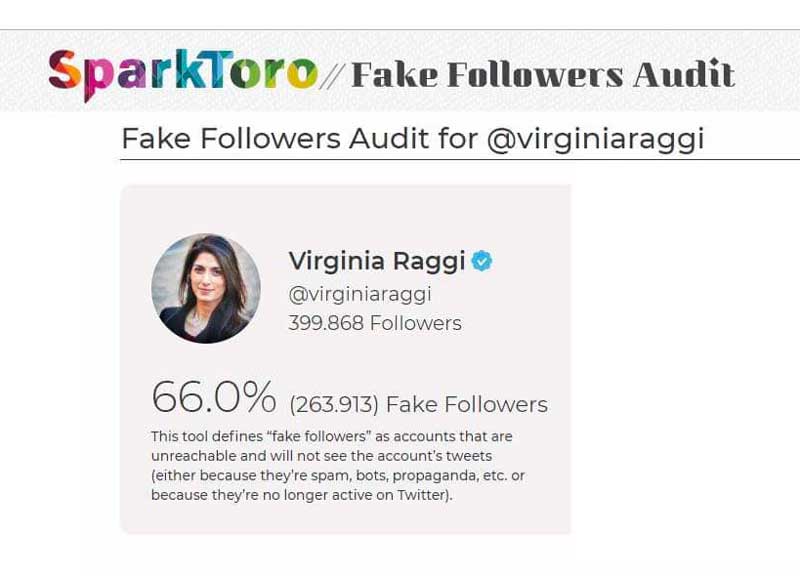 fake follower raggi 01