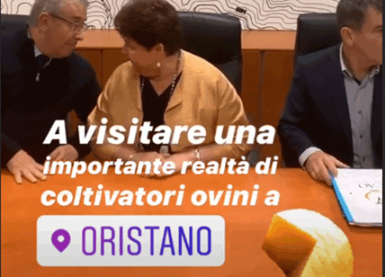"Realtà di coltivatori ovini a Oristano". Gaffe del ministro Bellanova