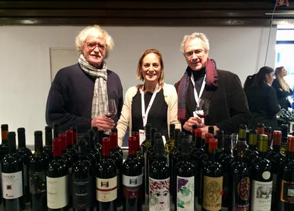 Anteprima vini della Costa Toscana, oltre 800 etichette protagoniste a Lucca