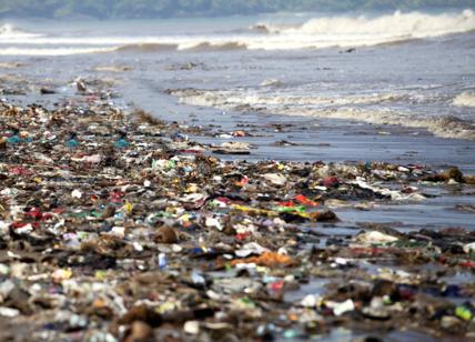 Spiagge da incubo, il mare di Roma è inquinato: 12 zone da bollino nero