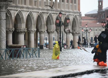 Venezia in emergenza, marea record. Due morti. Gravi danni a San Marco