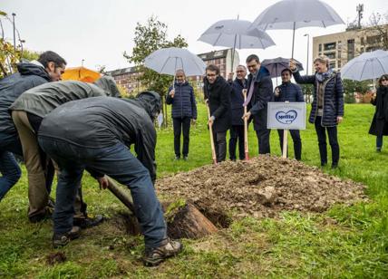 Giornata nazionale degli alberi. Costa: “Creiamo foreste urbane”