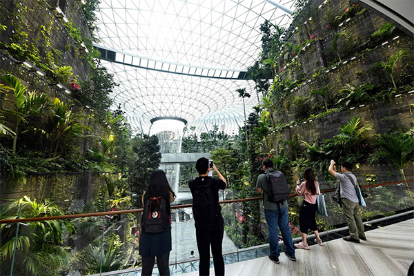 Jewel Changi Airport 4