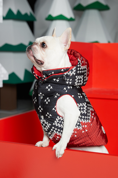 MONCLER POLDO DOG COUTURE MONCLER POLDO DOG COUTURE