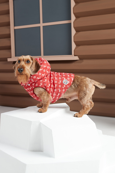 MONCLER POLDO DOG COUTURE MONCLER POLDO DOG COUTURE