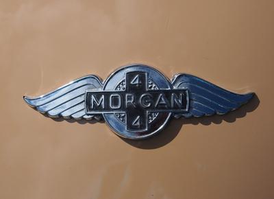 morgan ape morgan ape